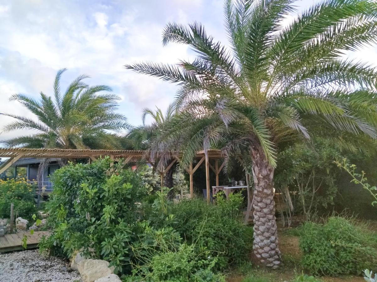 Red Palm Village Кралендейк Экстерьер фото